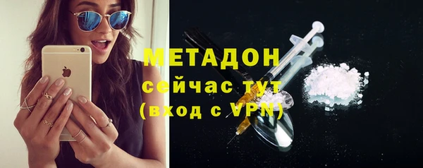индика Алексин