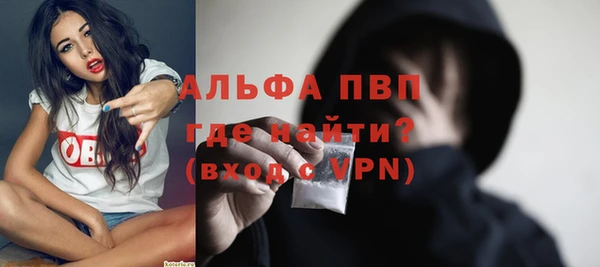 индика Алексин