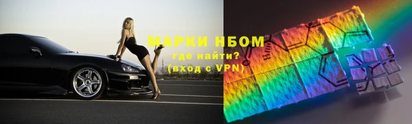 индика Алексин