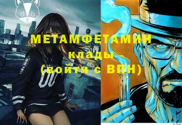 индика Алексин