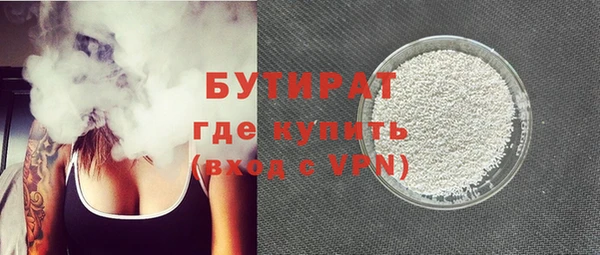 индика Алексин