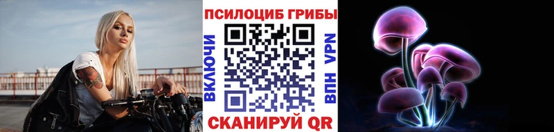 Купить  Краснообск  Галлюциногенные грибы Psilocybe 